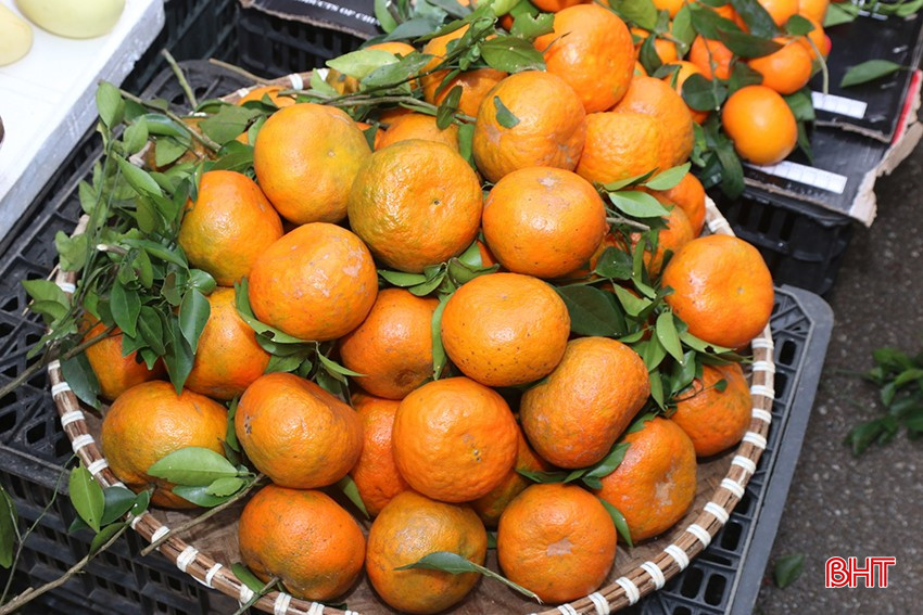 Cam Bù Hương Sơn